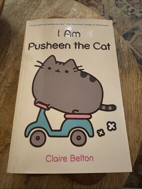 Pusheen Book Cover - Gray & Teal Illustration
